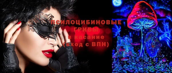стаф Армянск
