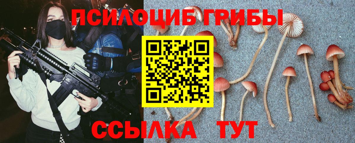 Чусовой  Галлюциногенные грибы Psilocybine cubensis  Вход с VPN 